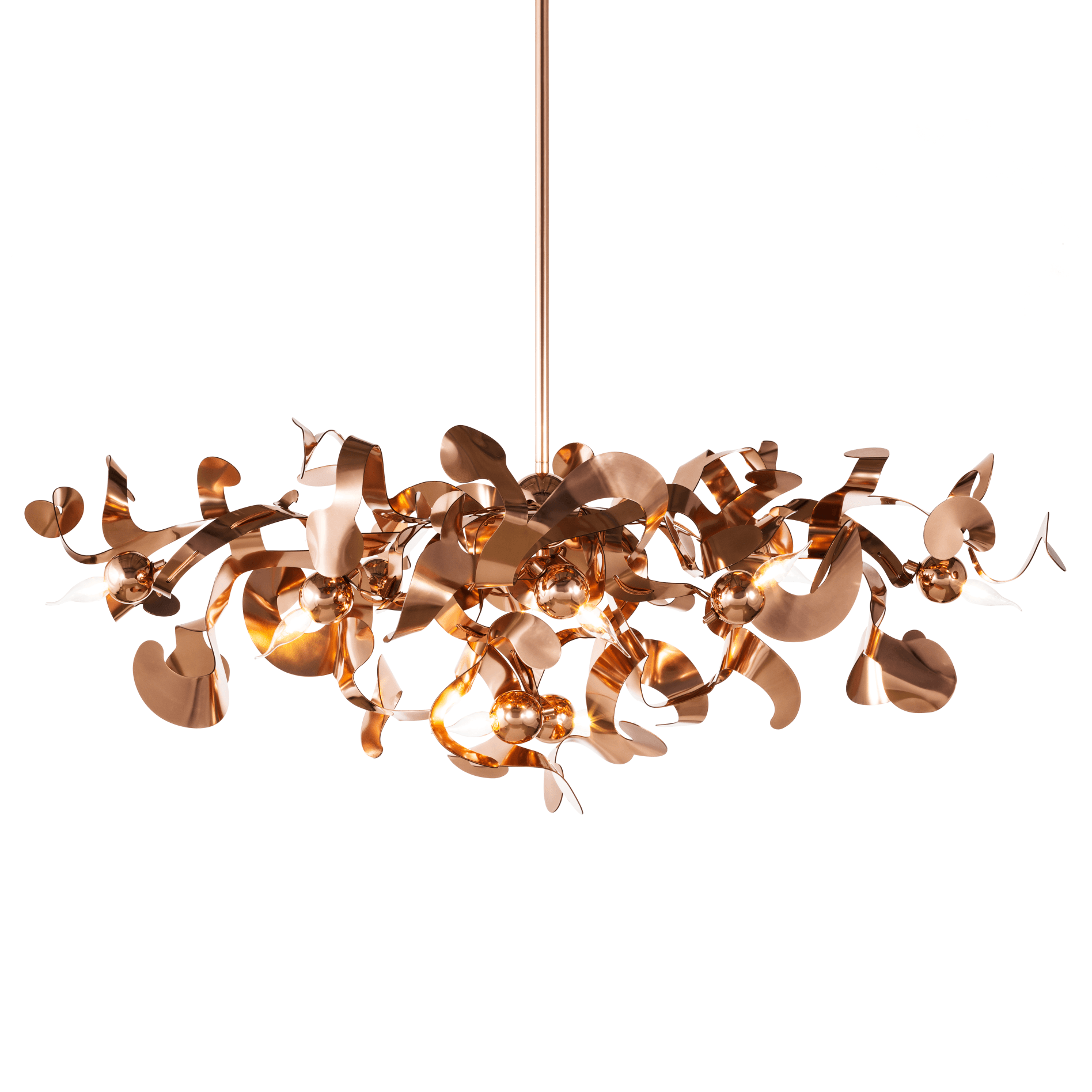 Kelp Chandelier Oval